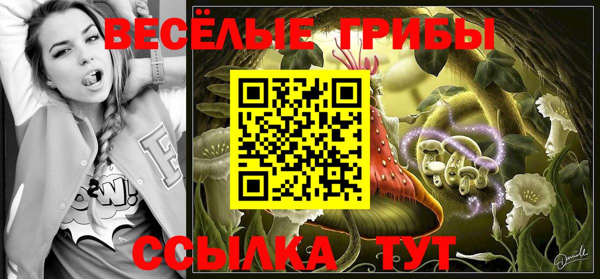 Псилоцибиновые грибы ЛСД Апшеронск